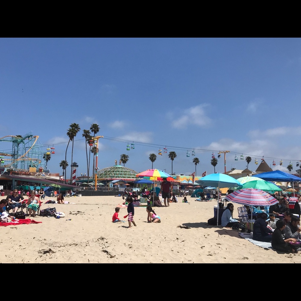 Meet your Posher, Adam